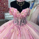 Gorgeous Pink Sweetheart Applique Beaded Sweet 16 Quinceanera A-Line Tulle Floor-length Prom Dress Birthday Dress Evening Dress Ball Gown HZ1024