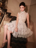 Vintage Beige Applique Design A-line Lace Short Tiered Party Dress Homecoming Dresses HZ1024