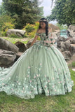 Elegant Sage Green Applique Off-the-shoulder Sweet 16 Quinceanera A-Line Floor-length Prom Dress Birthday Dress Evening Dress Ball Gown HZ1024