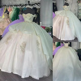 Elegant Shiny Embroidery Sweet 16 Quinceanera A-Line Floor-length Prom Dress Birthday Dress Evening Dress Ball Gown HZ1024
