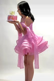 Cute Pink Off-the-shoulder A-Line Short Tiered Party Dress Cocktail Dress Homecoming Dress HZ1024