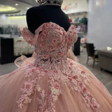 Elegant Pink Applique Sequin Off-the-shoulder Sweet 16 Quinceanera A-Line Floor-length Prom Dress Birthday Dress Evening Dress Ball Gown HZ1024