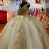 Gorgeous Sequin Applique V-neck Sweet 16 Quinceanera A-Line Prom Dress Birthday Dress Evening Dress Ball Gown HZ1024