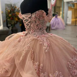 Elegant Pink Applique Sequin Off-the-shoulder Sweet 16 Quinceanera A-Line Floor-length Prom Dress Birthday Dress Evening Dress Ball Gown HZ1024