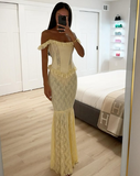Chic Light Yellow Two-Piece Mermaid Lace Floor-Mounting Ball Gown Evening Dress HZ1024