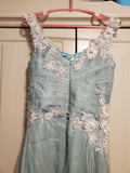 Vintage Green A-line Strap Lace Beaded Tulle Train Ball Gown Evening Dress HZ1024