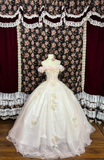 Vintage Pink Sweetheart Off-the-shoulder Tulle Beaded Quinceanera Evening Dress Ball Gown HZ1024