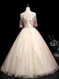 Champagne V-Neck Tulle Lace Long Prom Dress, A-Line Lovely Evening Party Dress HZ1024