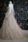Champagne Tulle Long Prom Dress, Off the Shoulder Evening Dress with Stars HZ1024