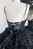 Black V-Neck Tulle Long Prom Dresses, High Low Evening Party Dresses HZ1024