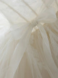 Light Champagne Ball Gown Tulle Sweetheart Long Prom Dress, Beautiful Formal Dress Sweet 16 Dress HZ1024