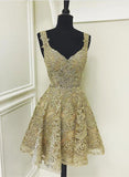 Vintage Lace Applique Short A-Line Party Dress Cocktail Dress Homecoming Dress HZ1024